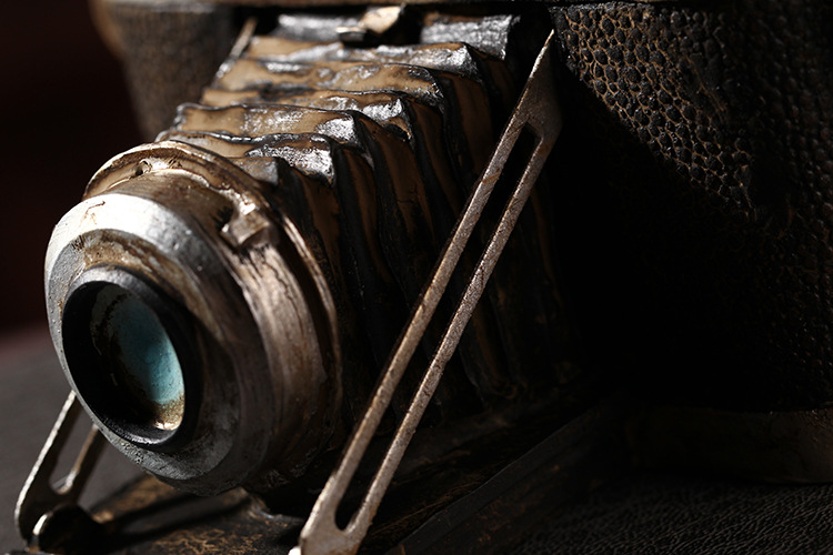 black Shabby Chic Camera Vinta - Collectible Vintage Cameras recensie en prijs