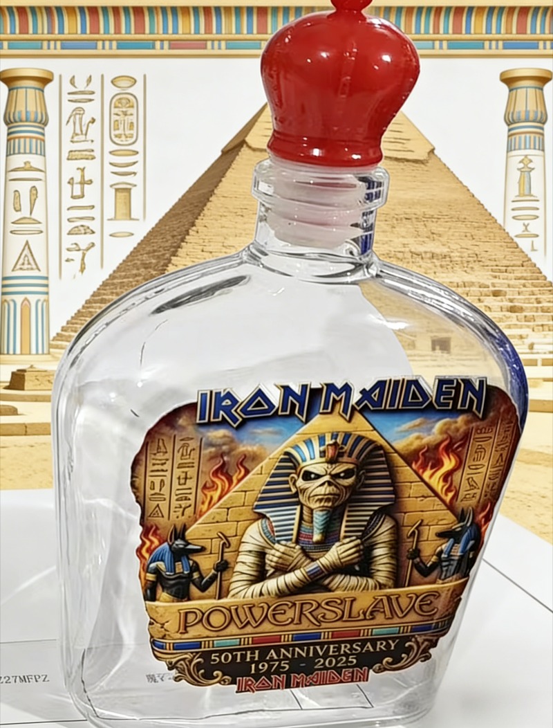 Vintage Rock Themed Mummy Scul - Vintage Collectible Bottles recensie en prijs